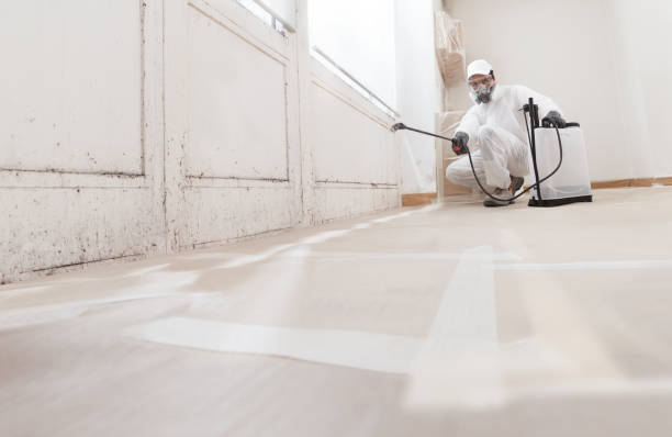 24/7 Emergency Mold Remediation experts in Upperville, VA