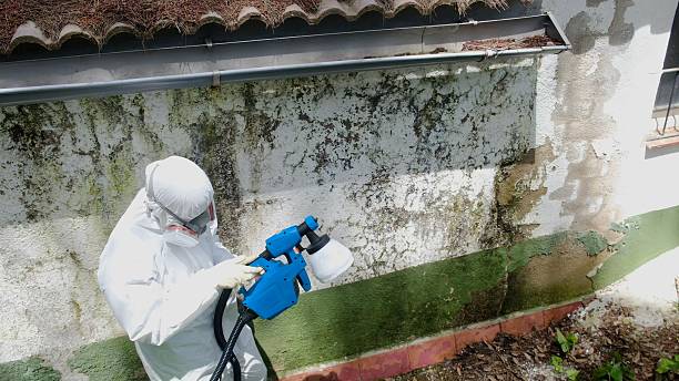 Top rated local Mold Remediation specialists in Upperville, VA